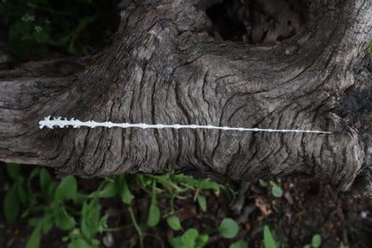 Eastern Gray Squirrel Tail Articulation