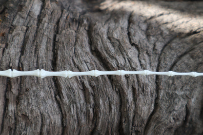 Eastern Gray Squirrel Tail Articulation