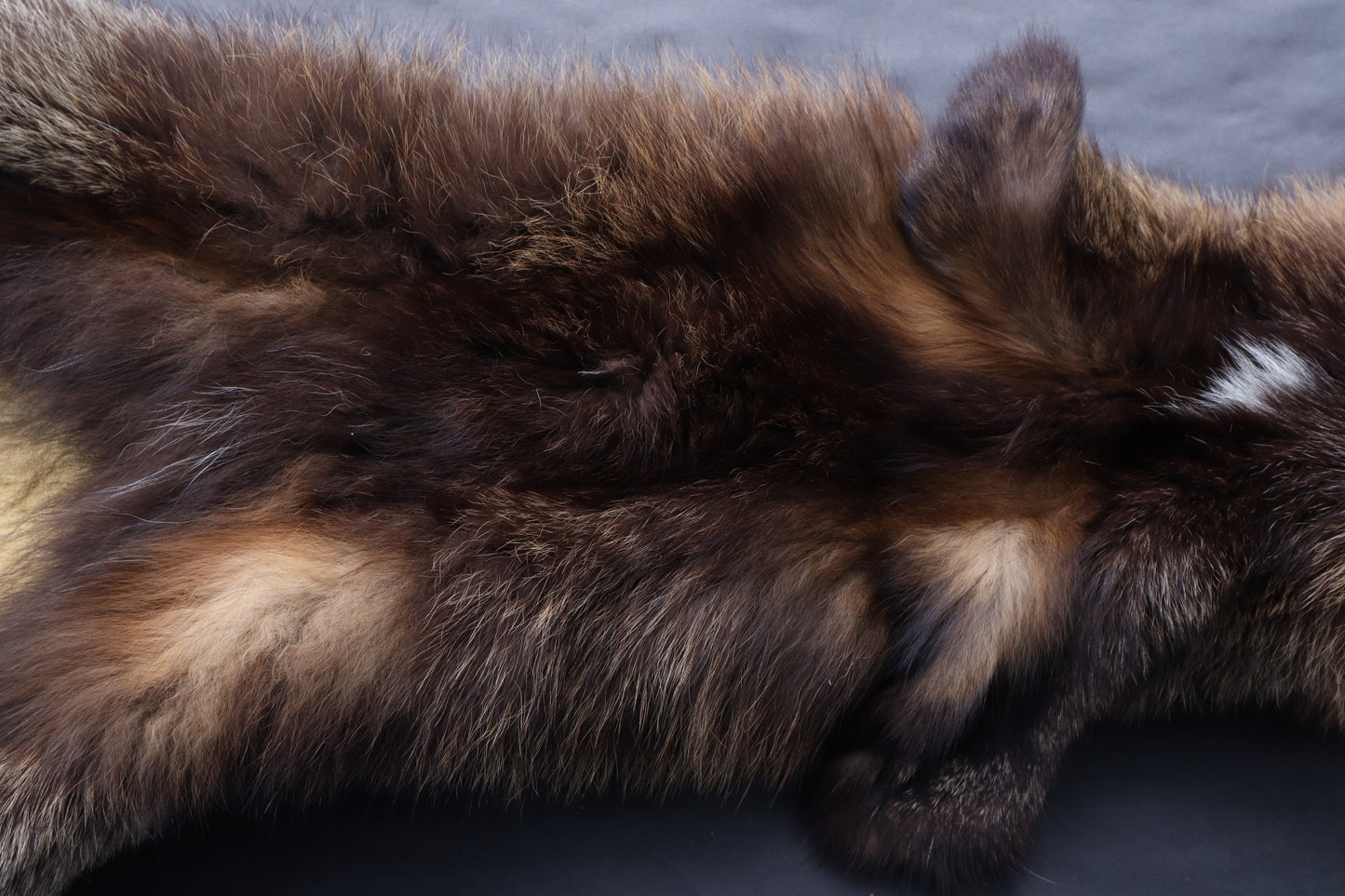 Kodiak Cross Fox Wallhanger