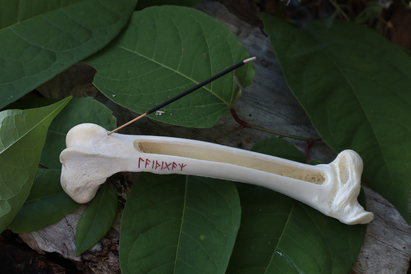 Whitetail Deer Femur Incense Burner