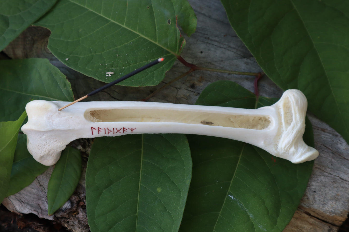 Whitetail Deer Femur Incense Burner