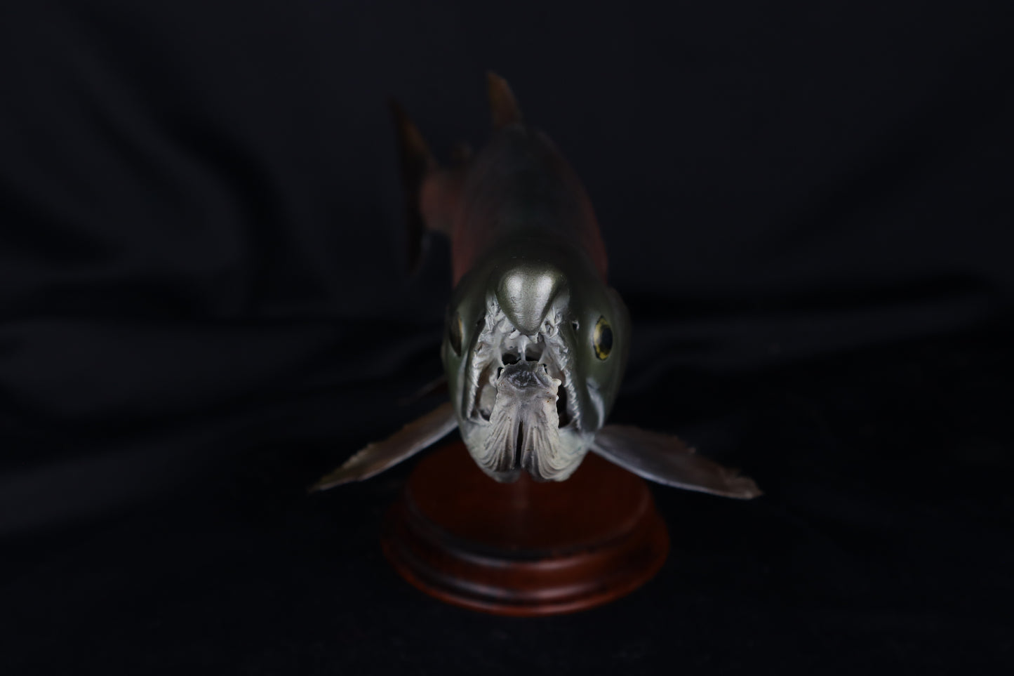 Chinook Salmon Taxidermy
