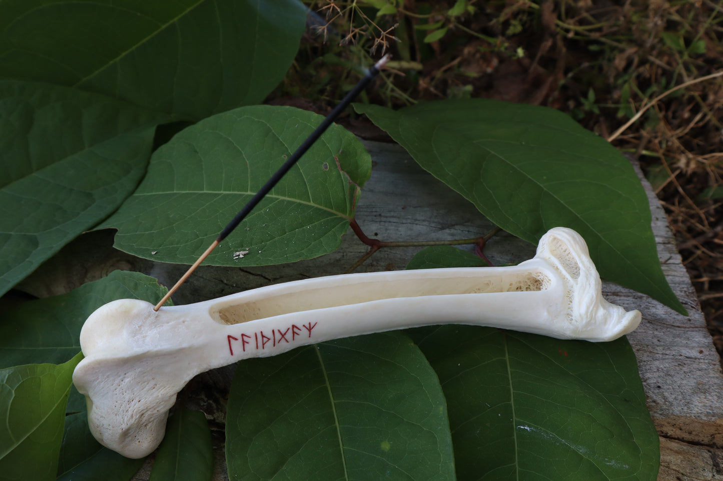 Whitetail Deer Femur Incense Burner