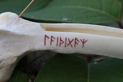 Whitetail Deer Femur Incense Burner