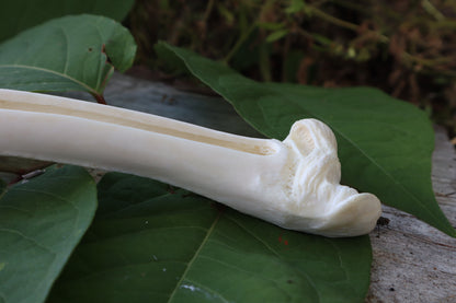 Whitetail Deer Femur Incense Burner