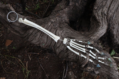 Red Fox Arm Fluid Articulation with Labradorite "Claws"