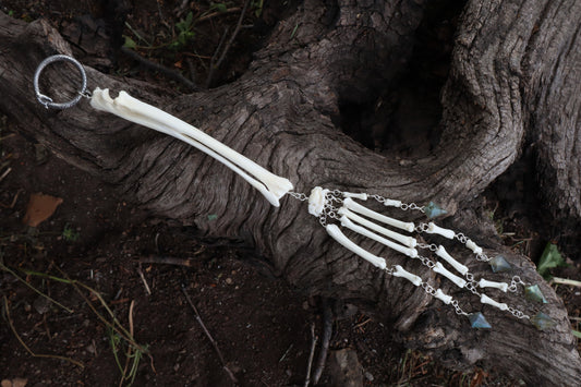 Red Fox Arm Fluid Articulation with Labradorite "Claws"