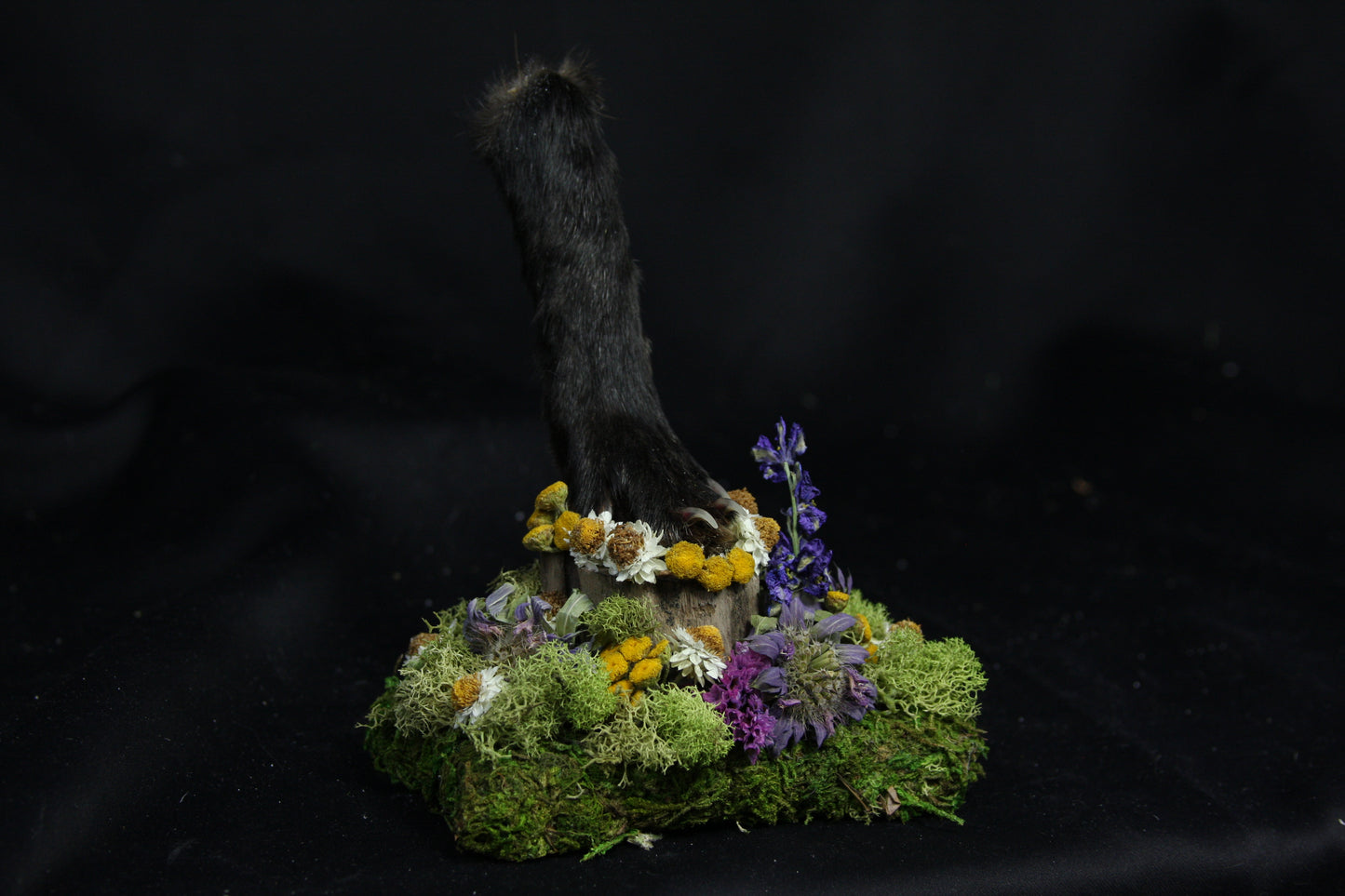 Red Fox Paw Pedestal