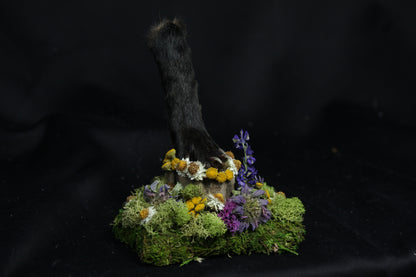 Red Fox Paw Pedestal