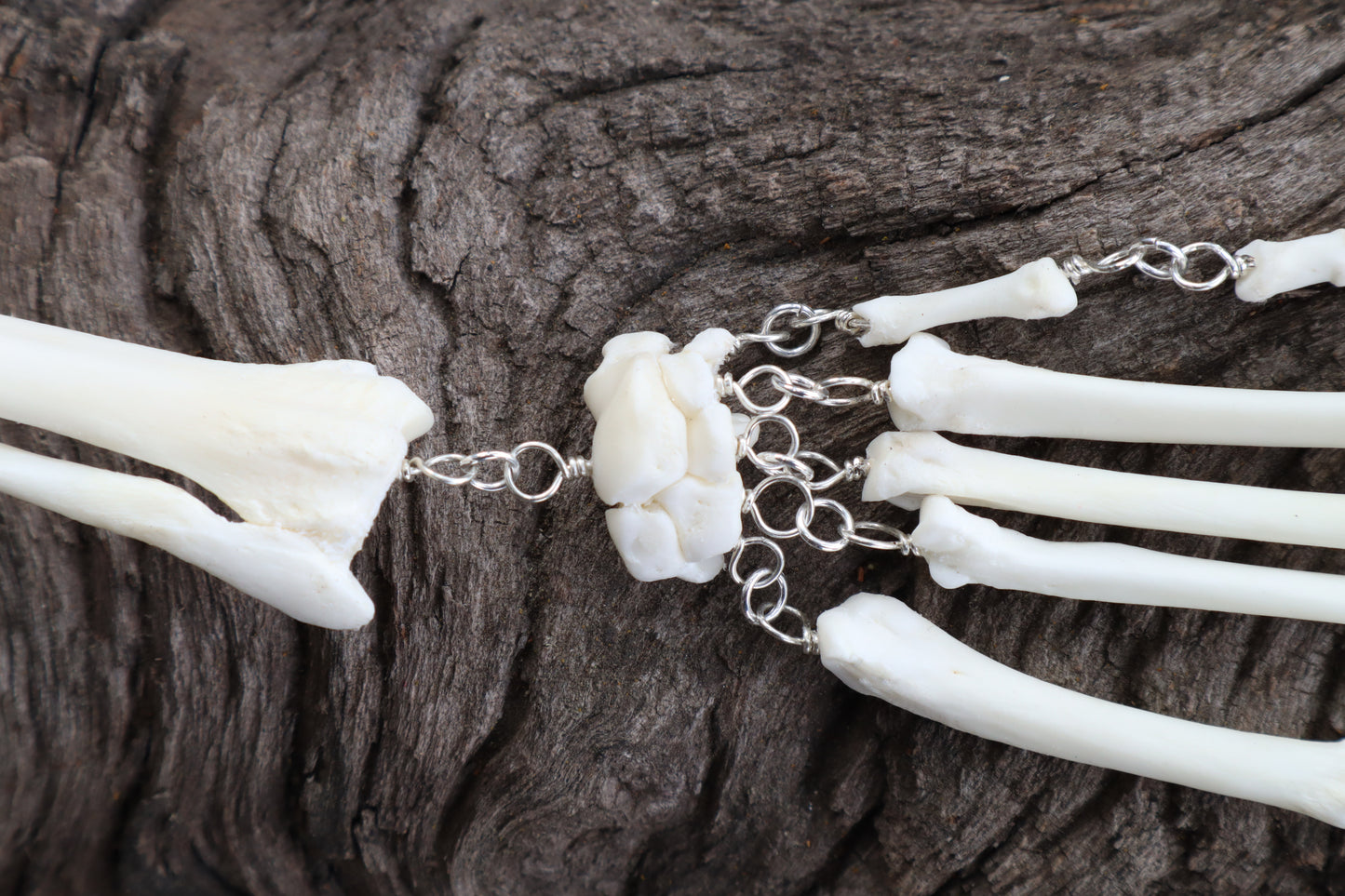 Red Fox Arm Fluid Articulation with Labradorite "Claws"
