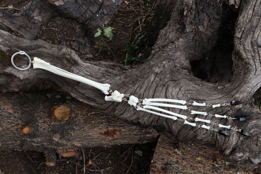 Red Fox Leg Fluid Articulation with Smoky Quartz "Claws"