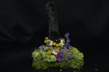 Red Fox Paw Pedestal