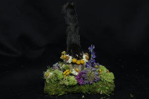 Red Fox Paw Pedestal