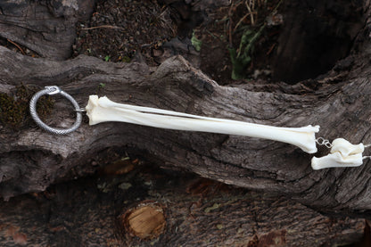 Red Fox Leg Fluid Articulation with Smoky Quartz "Claws"