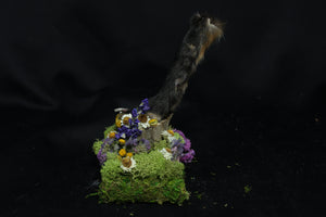 Red Fox Paw Pedestal