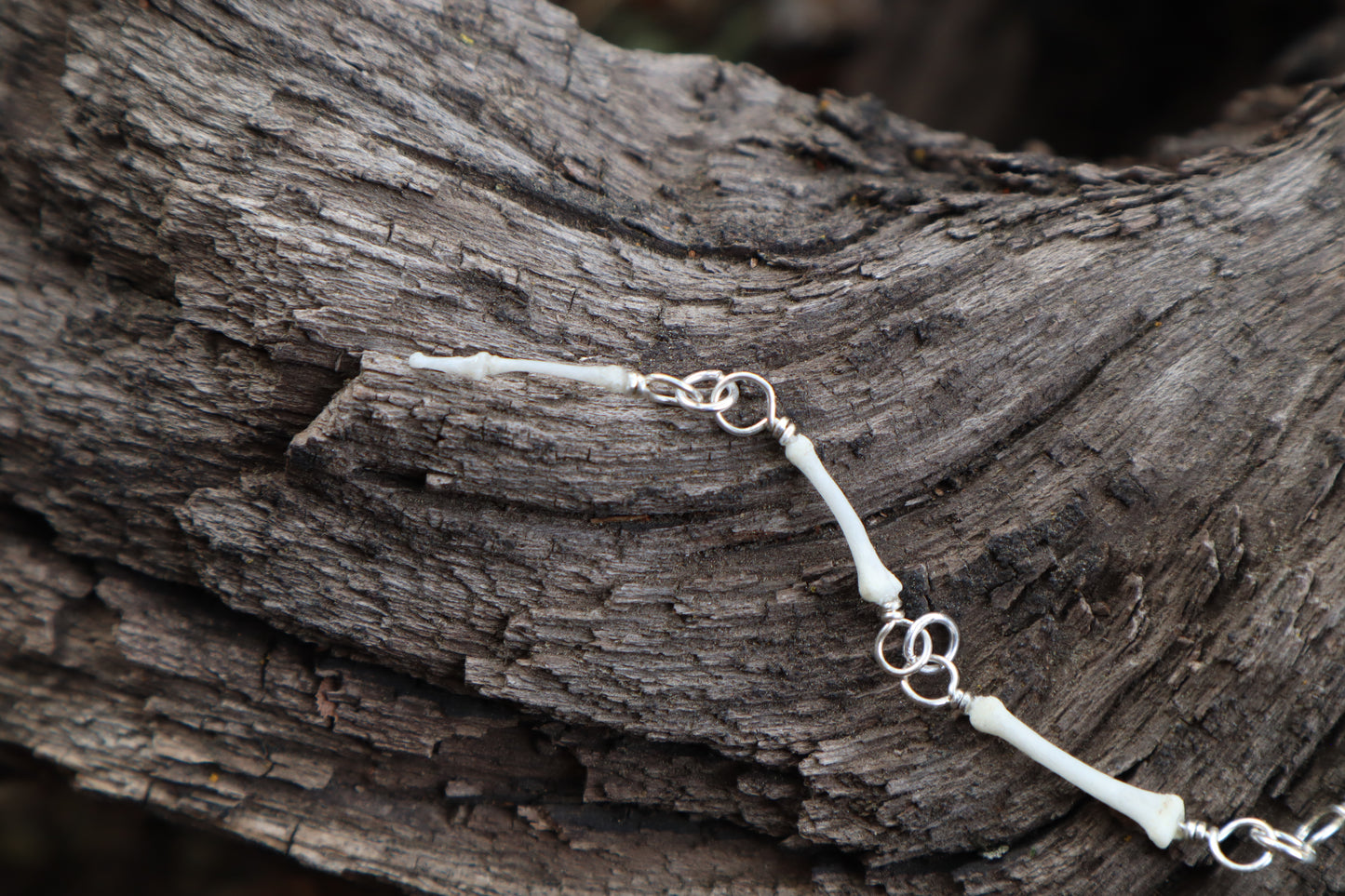 Fluid Raccoon Tail Articulation with Ouroboros Ring