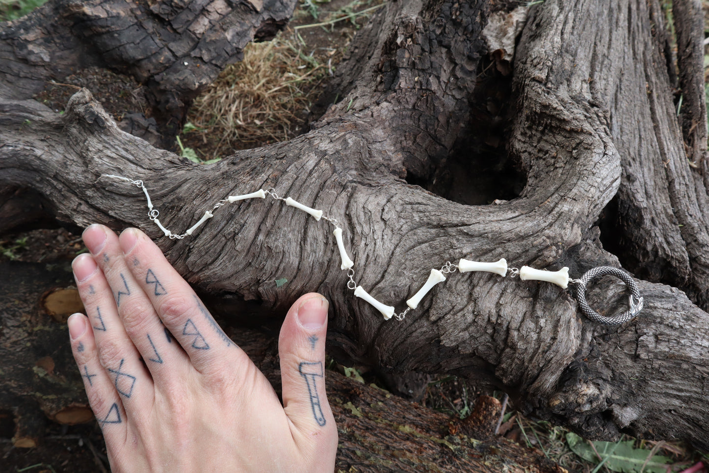 Fluid Raccoon Tail Articulation with Ouroboros Ring
