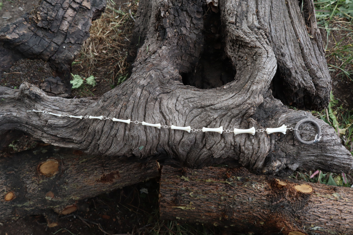 Fluid Raccoon Tail Articulation with Ouroboros Ring