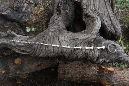 Fluid Raccoon Tail Articulation with Ouroboros Ring