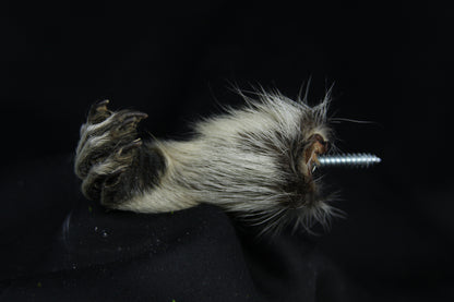 Raccoon Hand Holder