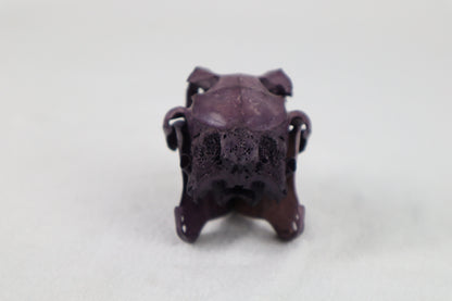 Naturally Stained Jack Rabbit Skull
