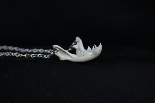 Kitten Mandible Necklace