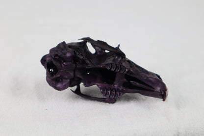Naturally Stained Half Jack Rabbit Skull
