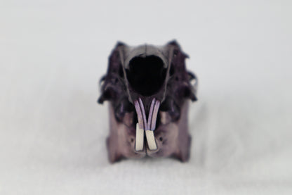 Naturally Stained Jack Rabbit Skull