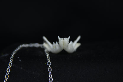 Kitten Mandible Necklace