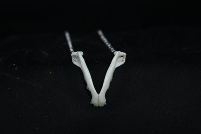 Kitten Mandible Necklace
