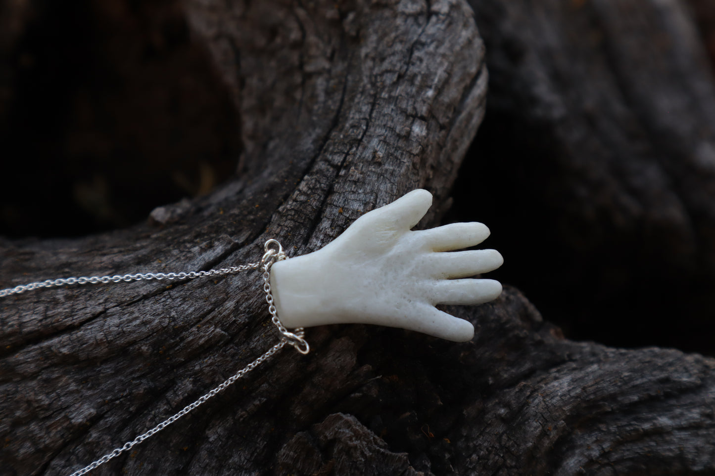Left Hand Elk Bone Necklace
