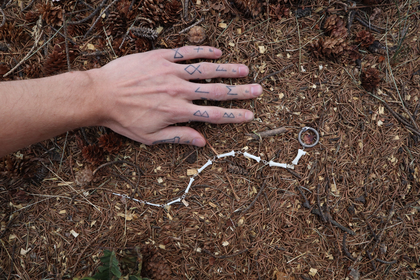 Fluid Raccoon Tail Articulation with Ouroboros Ring