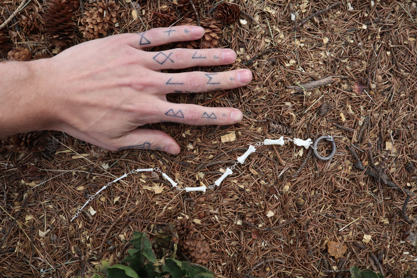 Fluid Raccoon Tail Articulation with Ouroboros Ring