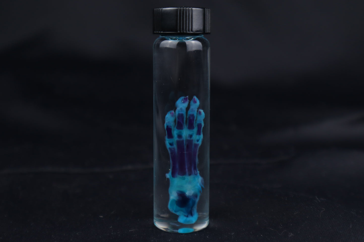Diaphonized Kitten Paw