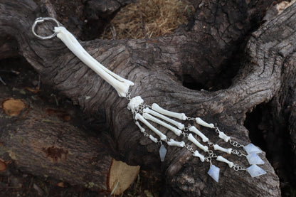 Red Fox Arm Fluid Articulation with Moonstone "Claws"