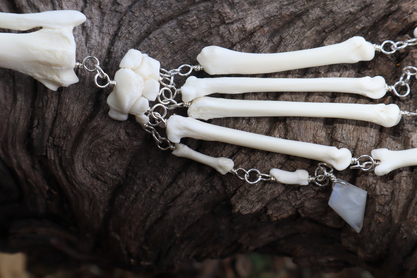 Red Fox Arm Fluid Articulation with Moonstone "Claws"