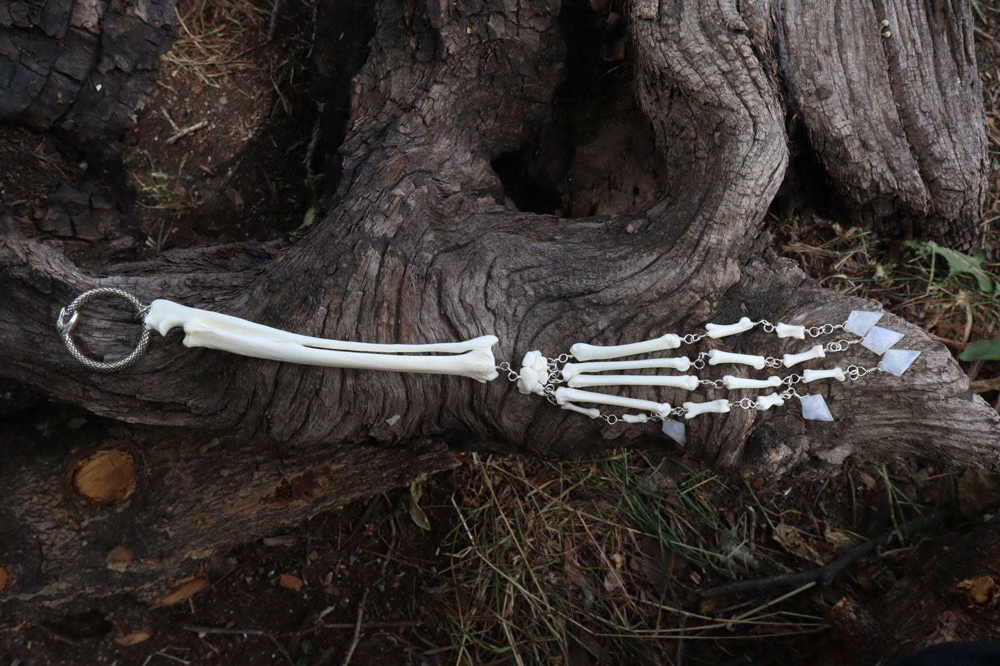 Red Fox Arm Fluid Articulation with Moonstone "Claws"