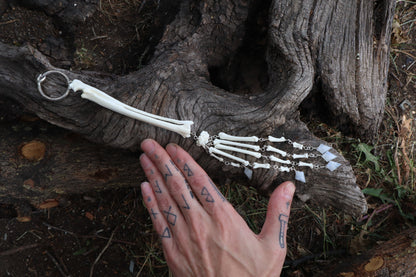 Red Fox Arm Fluid Articulation with Moonstone "Claws"