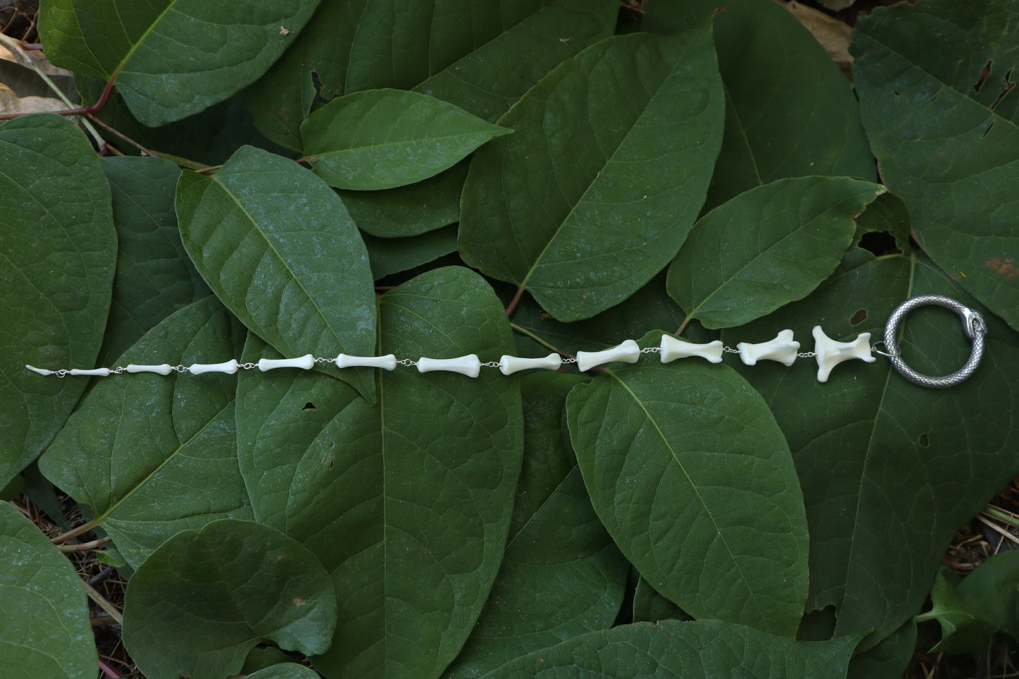 Fluid Whitetail Deer Tail Articulation with Ouroboros Ring