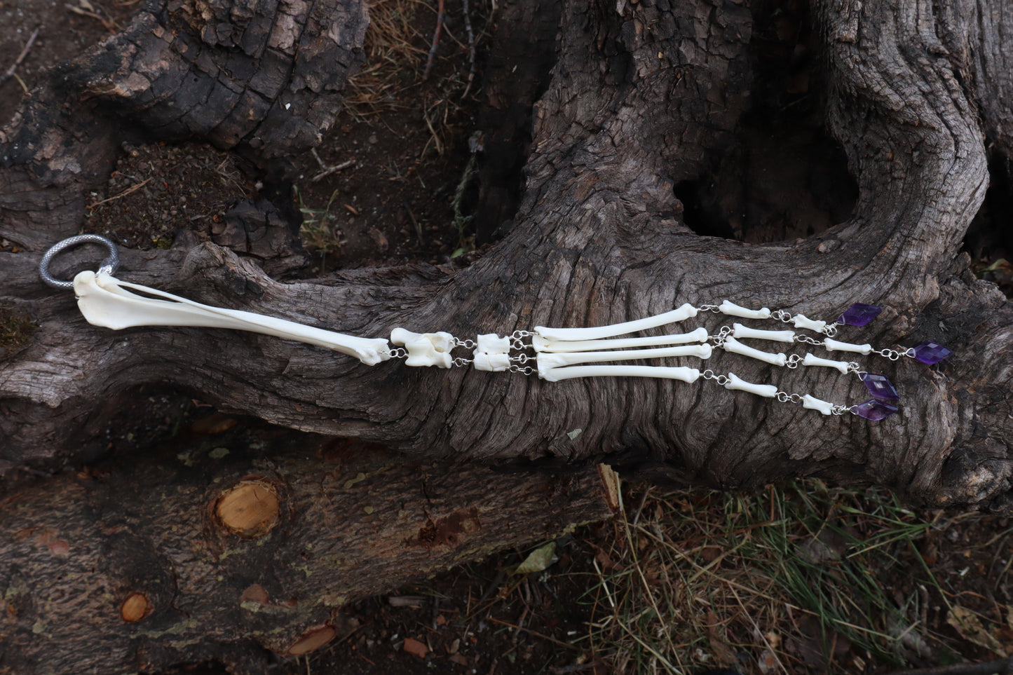 Red Fox Leg Fluid Articulation with Amethyst "Claws"