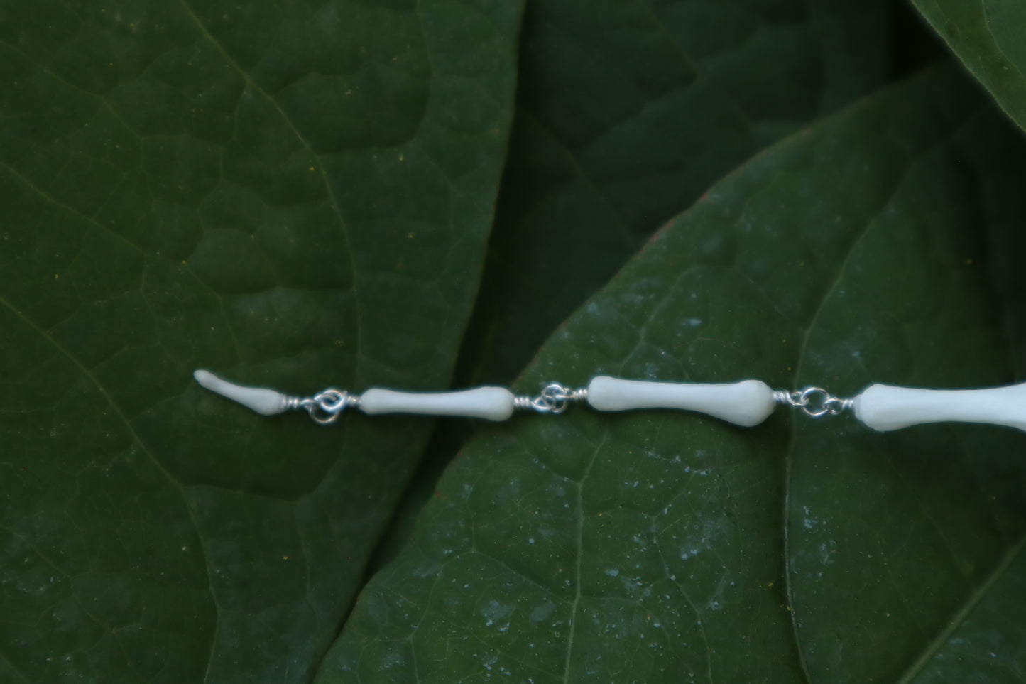 Fluid Whitetail Deer Tail Articulation with Ouroboros Ring