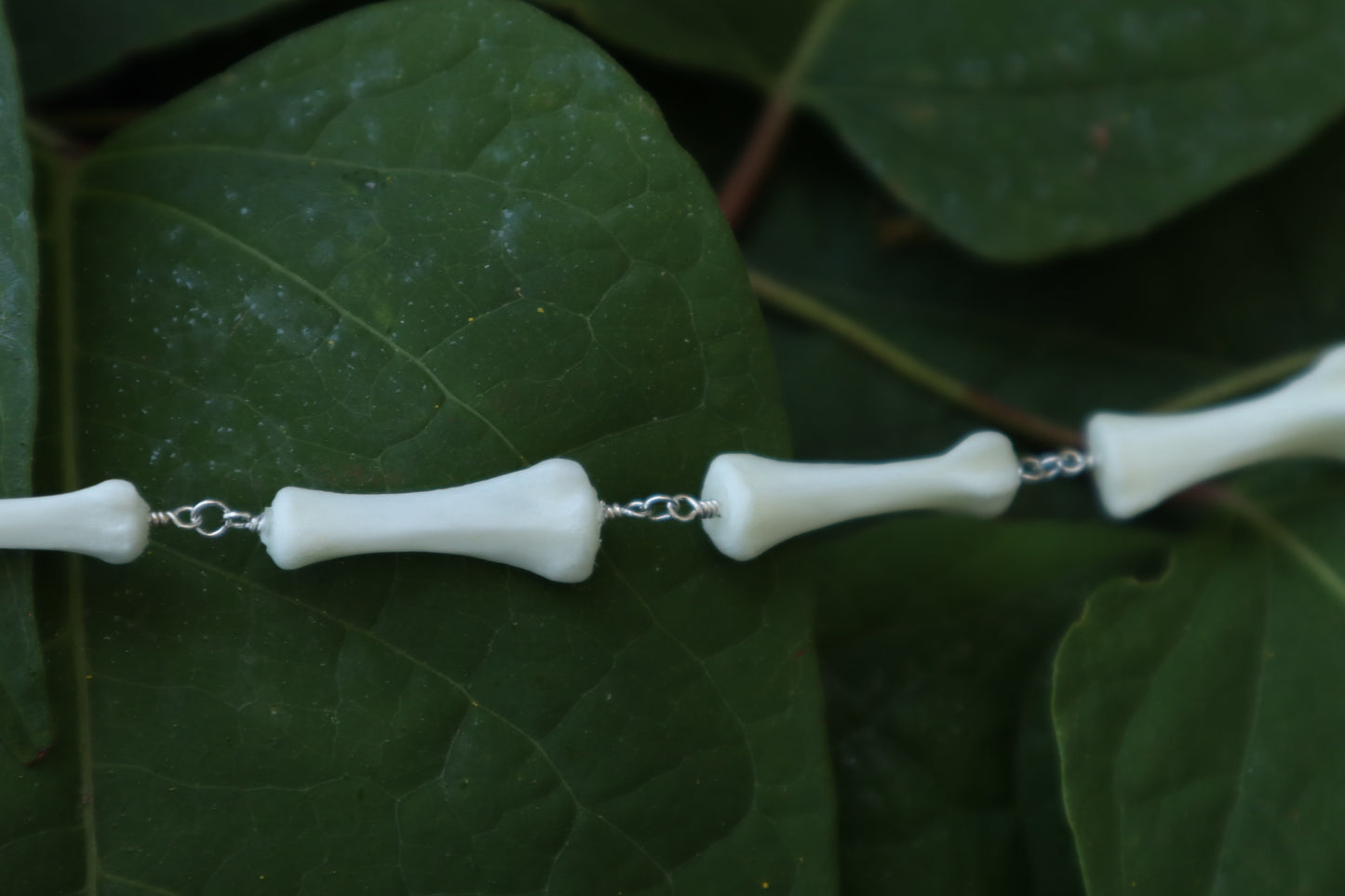 Fluid Whitetail Deer Tail Articulation with Ouroboros Ring