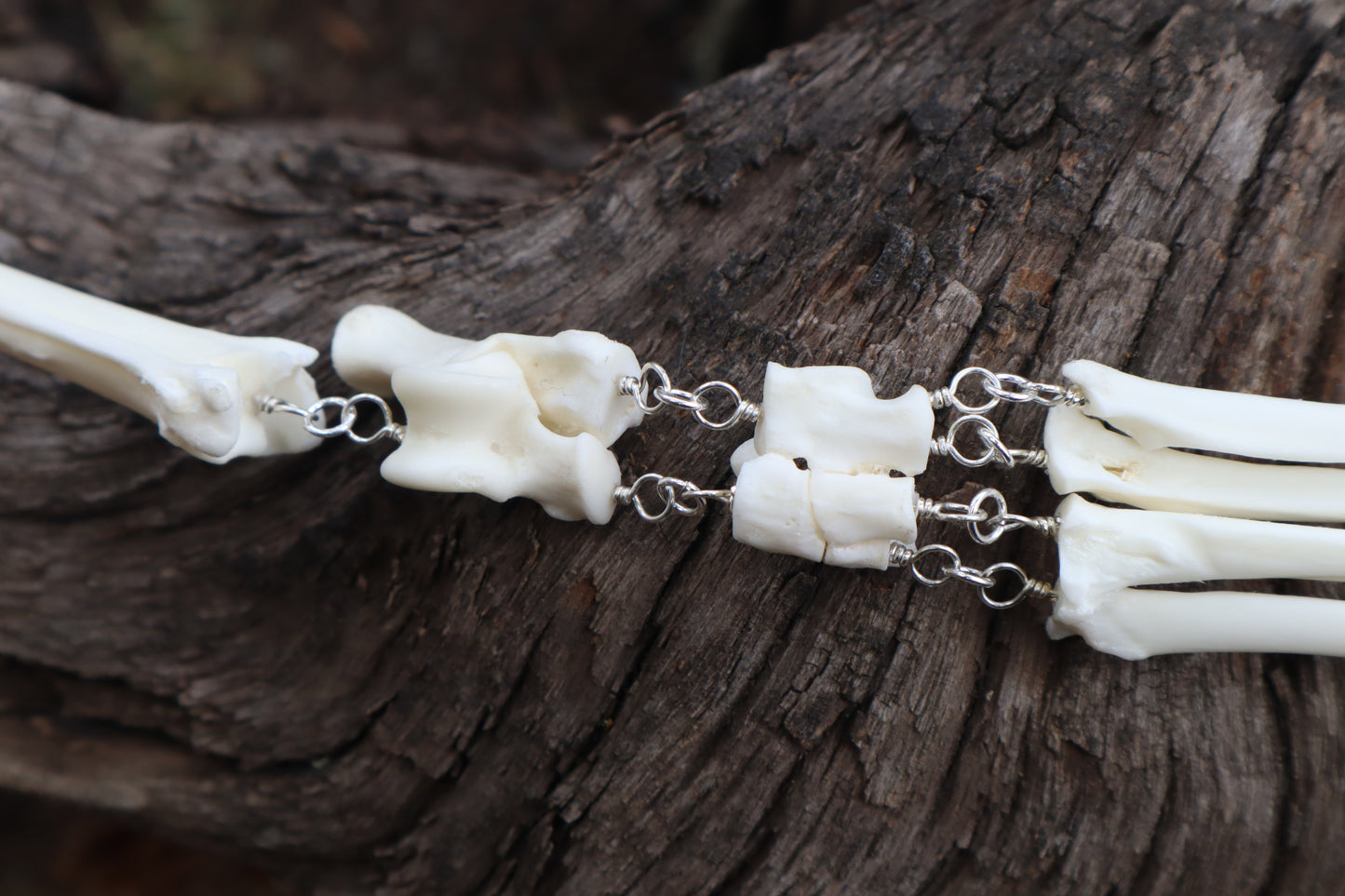 Red Fox Leg Fluid Articulation with Amethyst "Claws"