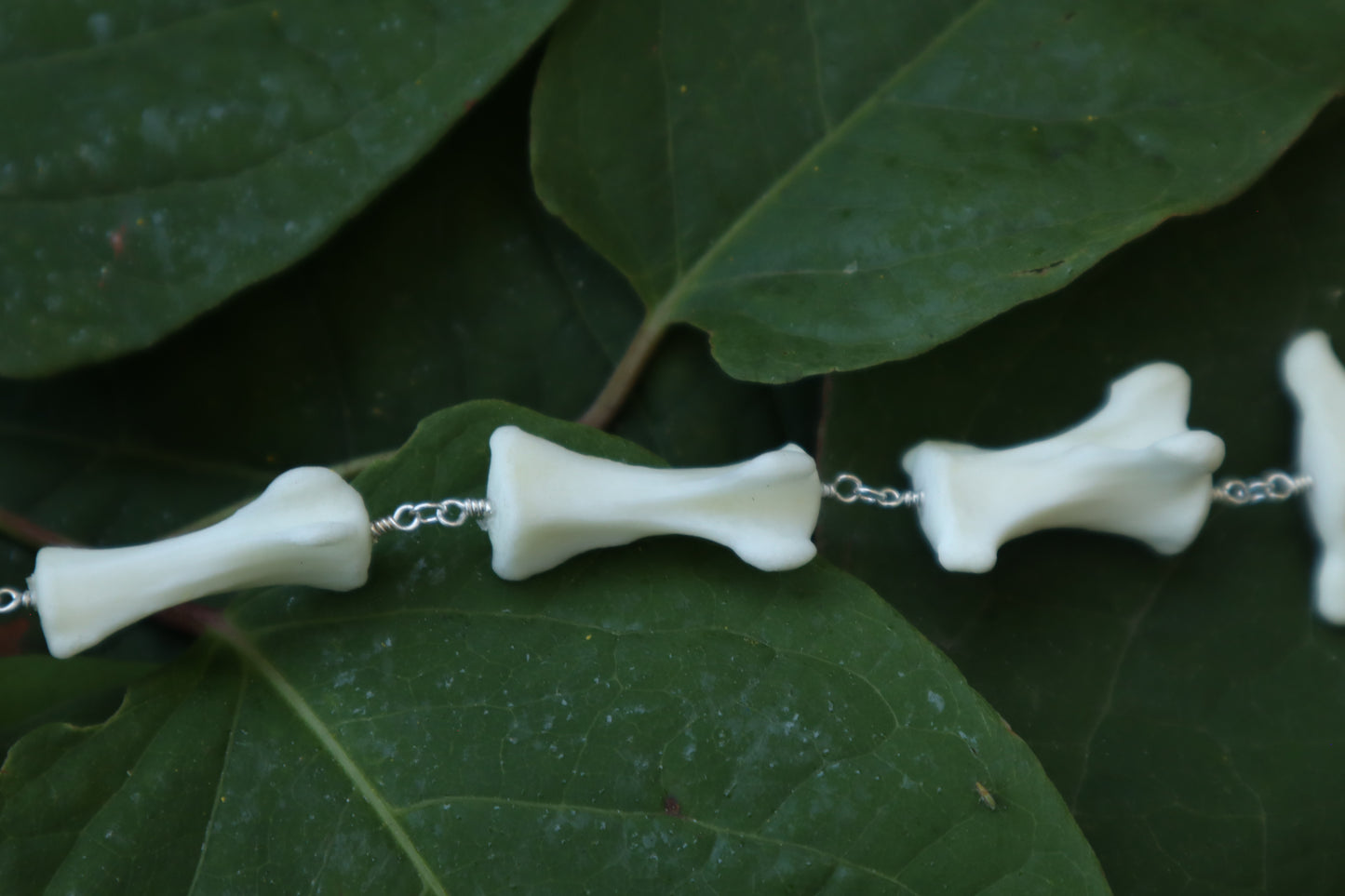 Fluid Whitetail Deer Tail Articulation with Ouroboros Ring