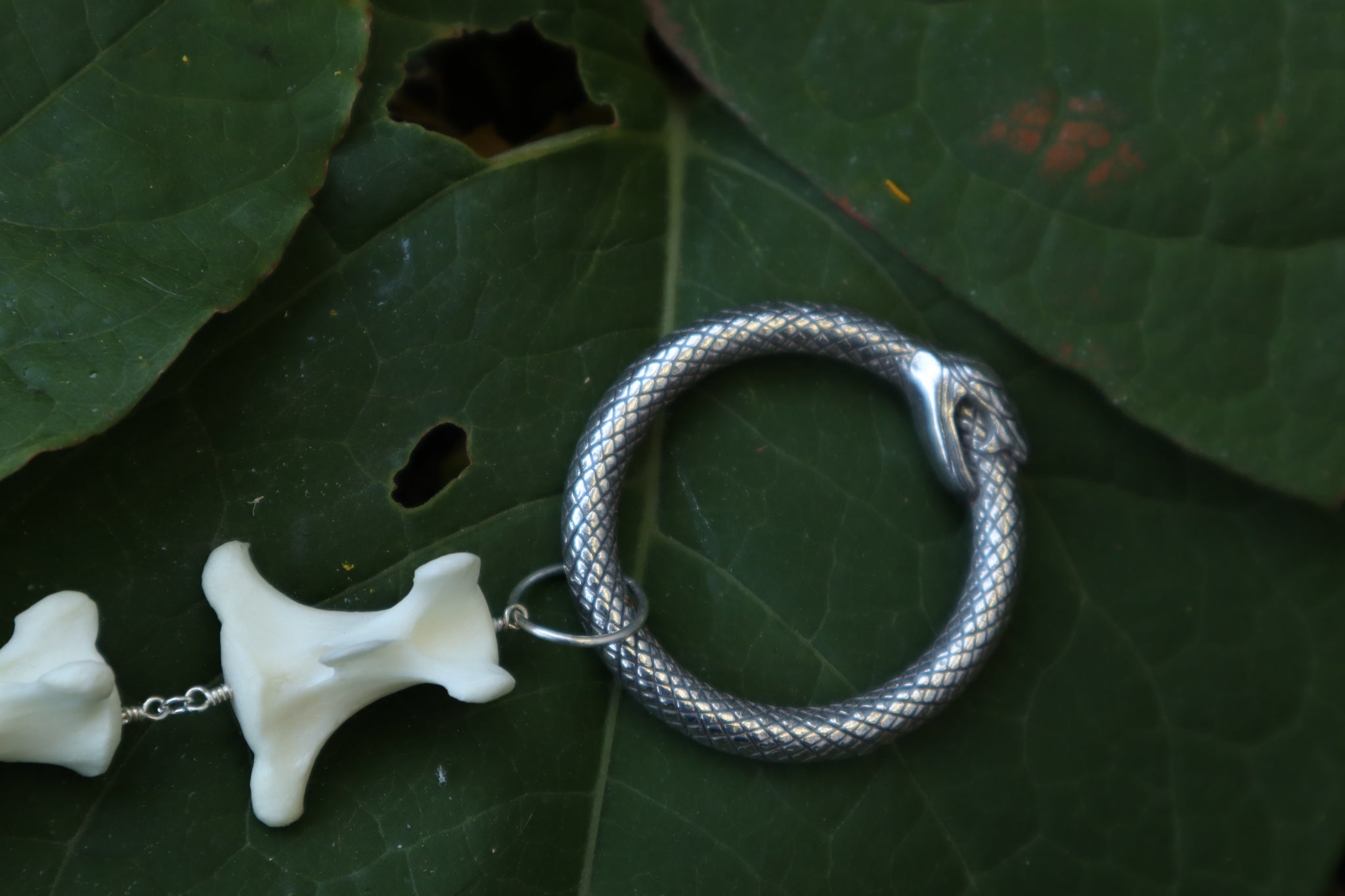 Fluid Whitetail Deer Tail Articulation with Ouroboros Ring