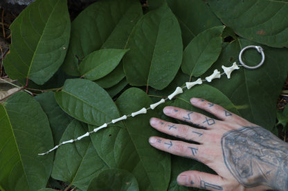 Fluid Whitetail Deer Tail Articulation with Ouroboros Ring