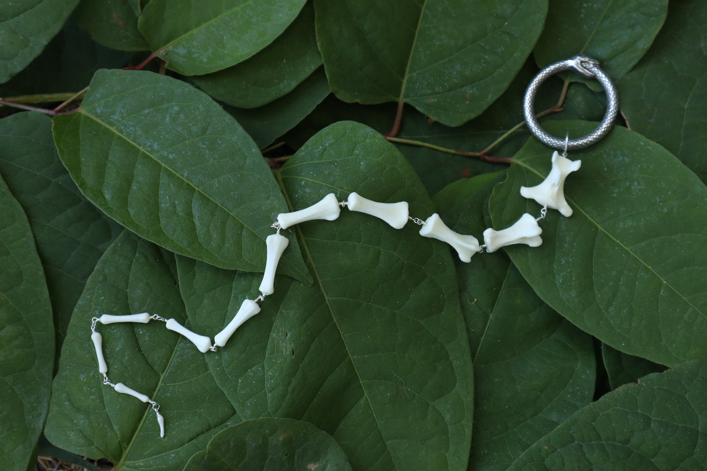 Fluid Whitetail Deer Tail Articulation with Ouroboros Ring