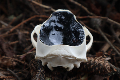 Raccoon Skull Offering Bowl