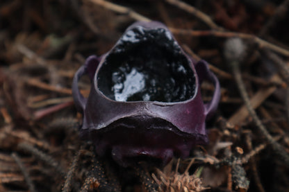 Naturally Stained Raccoon Skull Offering Bowl