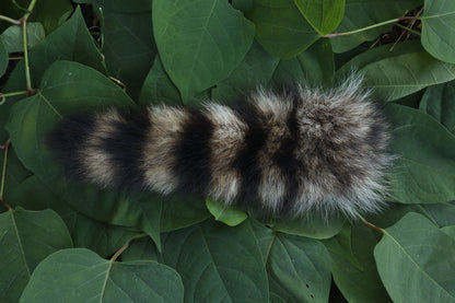 Raccoon Tail